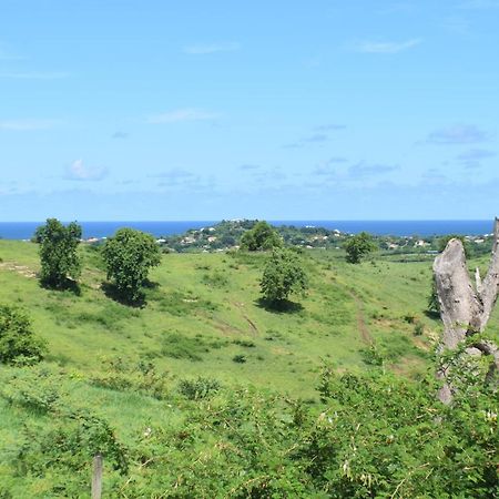 Bungalow La Paillote Le François Buitenkant foto